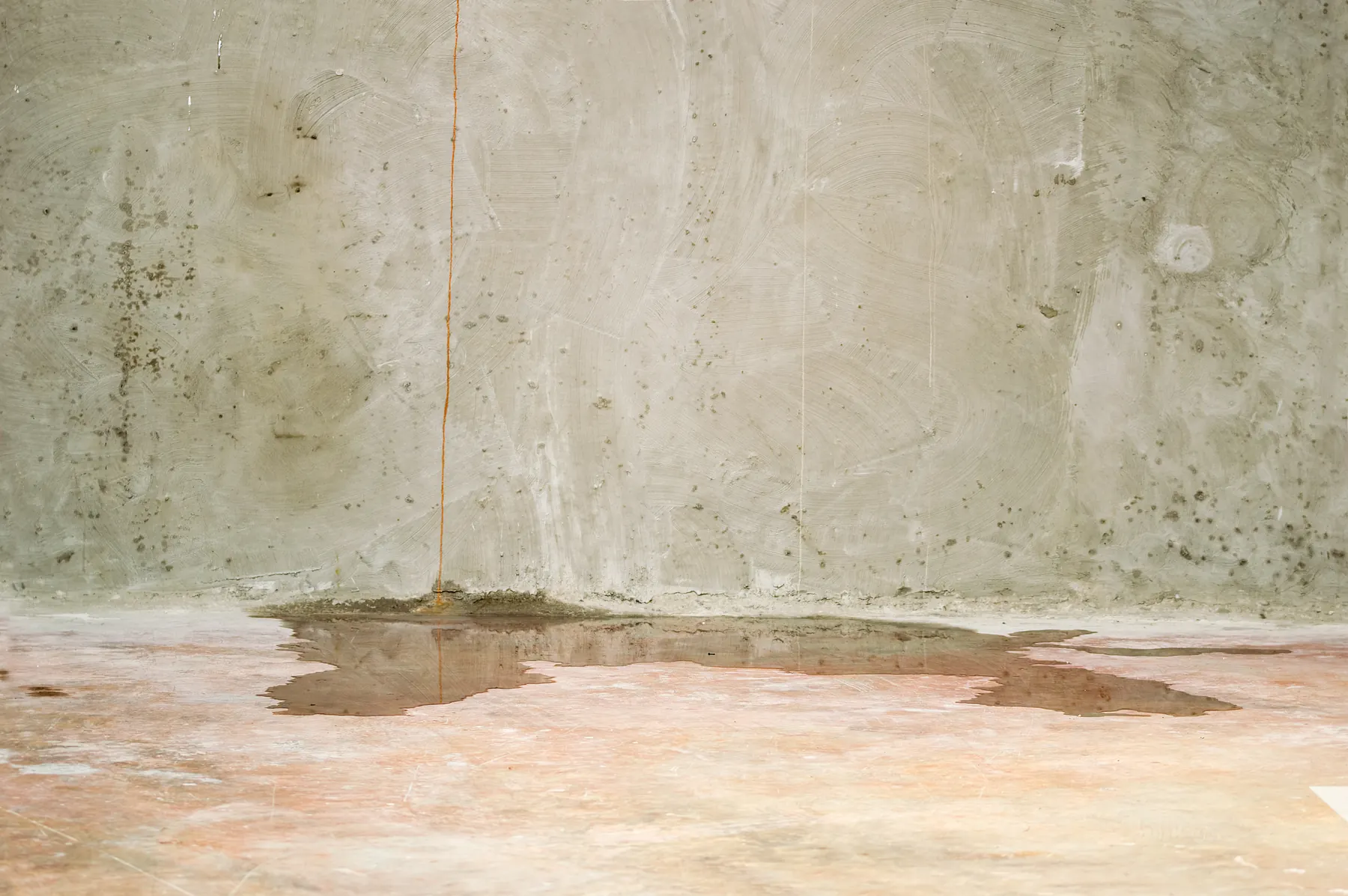 A shallow puddle standing on bare pinkish screed at the foot of a grey render wall speckled with mould, an orange plumb line hanging down