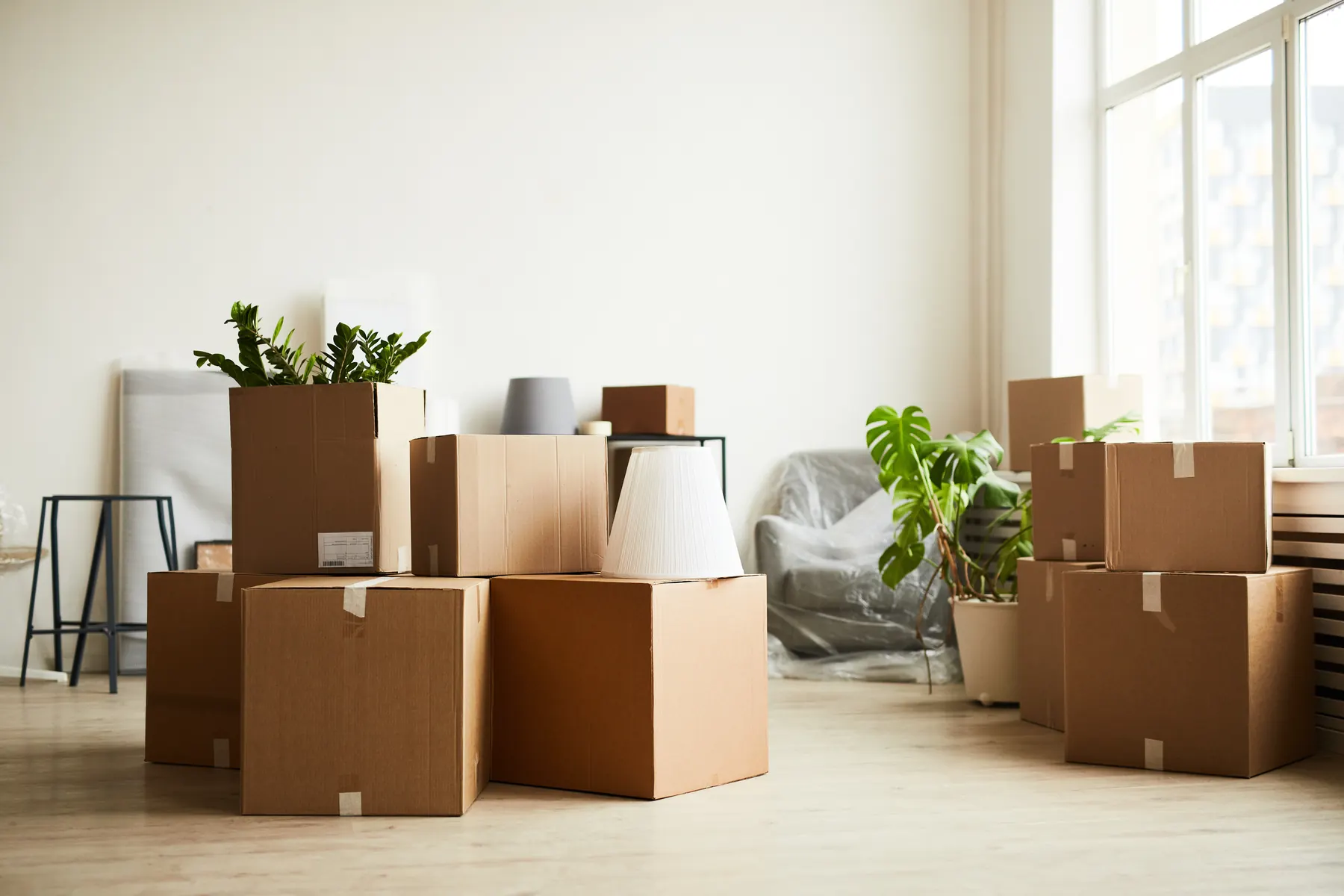 Cardboard boxes stacked on a pale wood floor in a bright room, with a plant and a wrapped armchair behind them