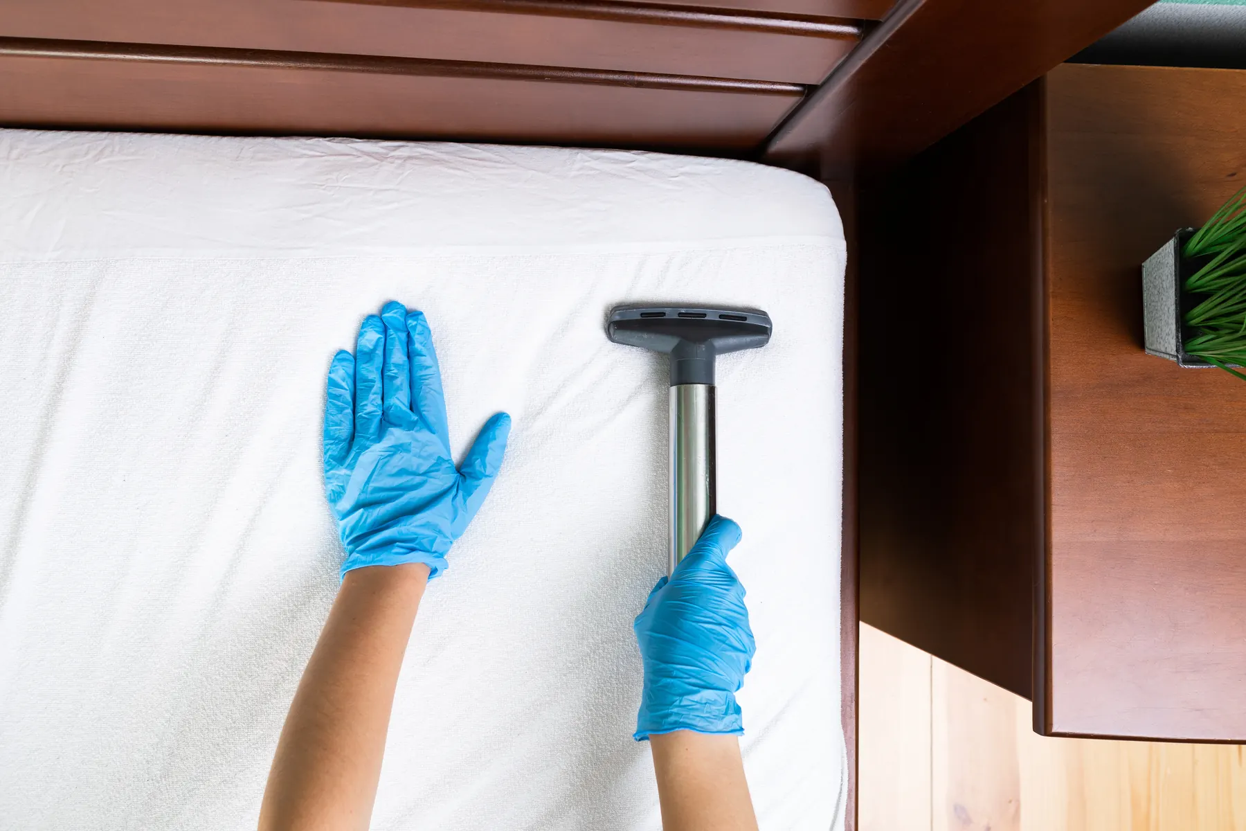 Gloved hands drawing an upholstery extraction tool across a bare white mattress on a dark wood bed