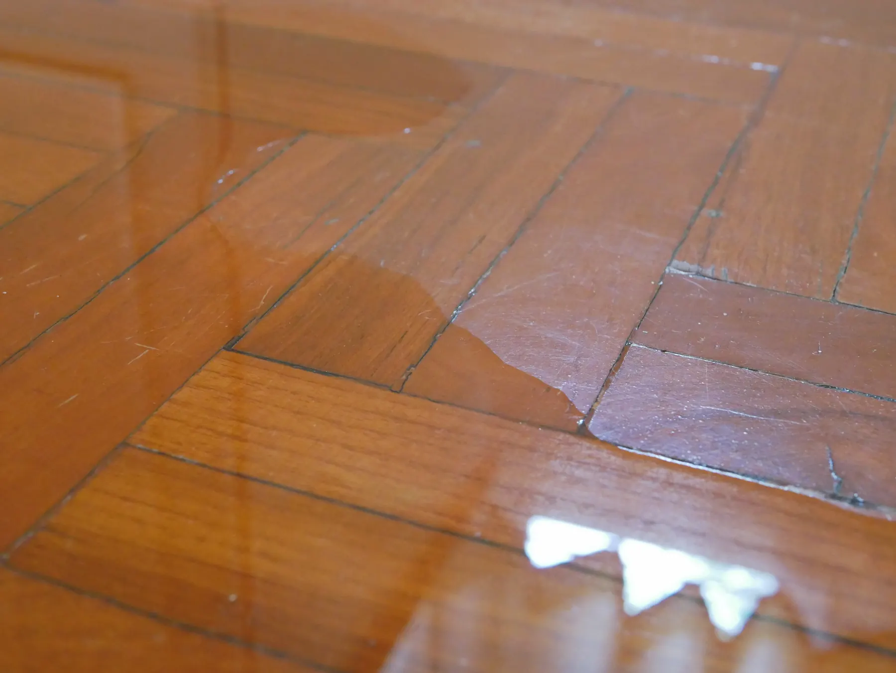 Water spreading in a pool across a glossy herringbone parquet floor, darkening the blocks it reaches